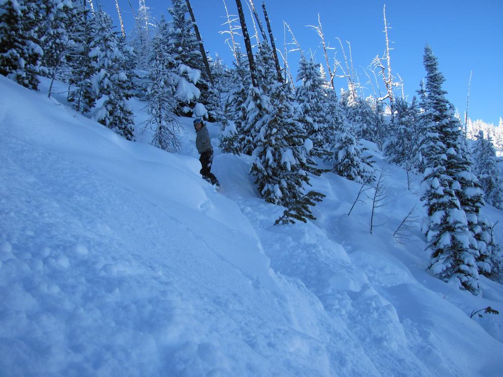 Mountain - Horsethief With Fairmont Creek Apartment Panorama